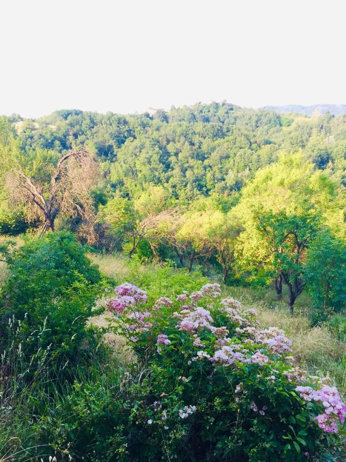 B&B Al Giardino Dei Mandorli Prasco 外观 照片
