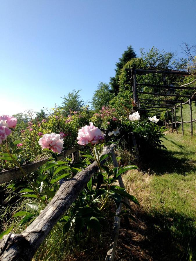 B&B Al Giardino Dei Mandorli Prasco 外观 照片